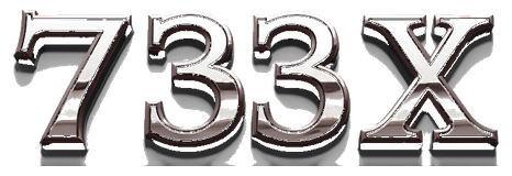 7333x logo